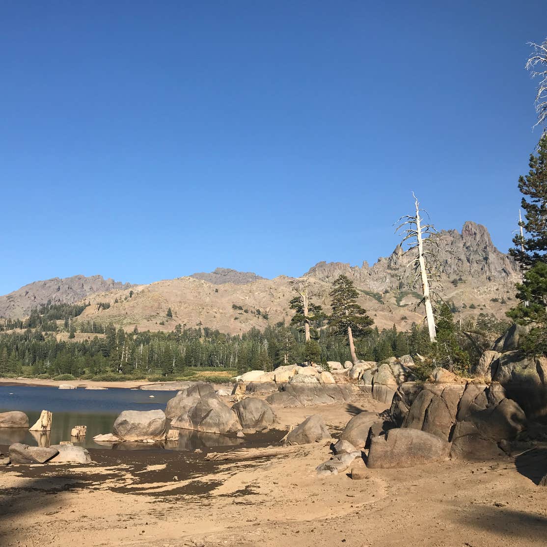 Wet Meadows Reservoir Camping | Markleeville, CA