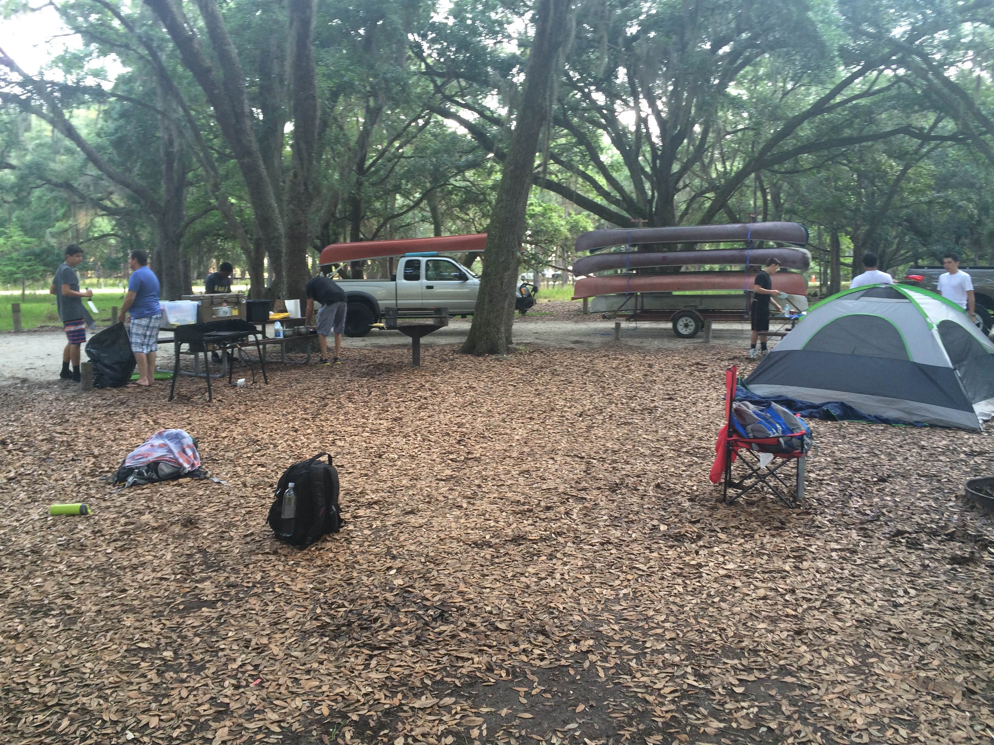 Camper submitted image from Moss Park Campground - 2
