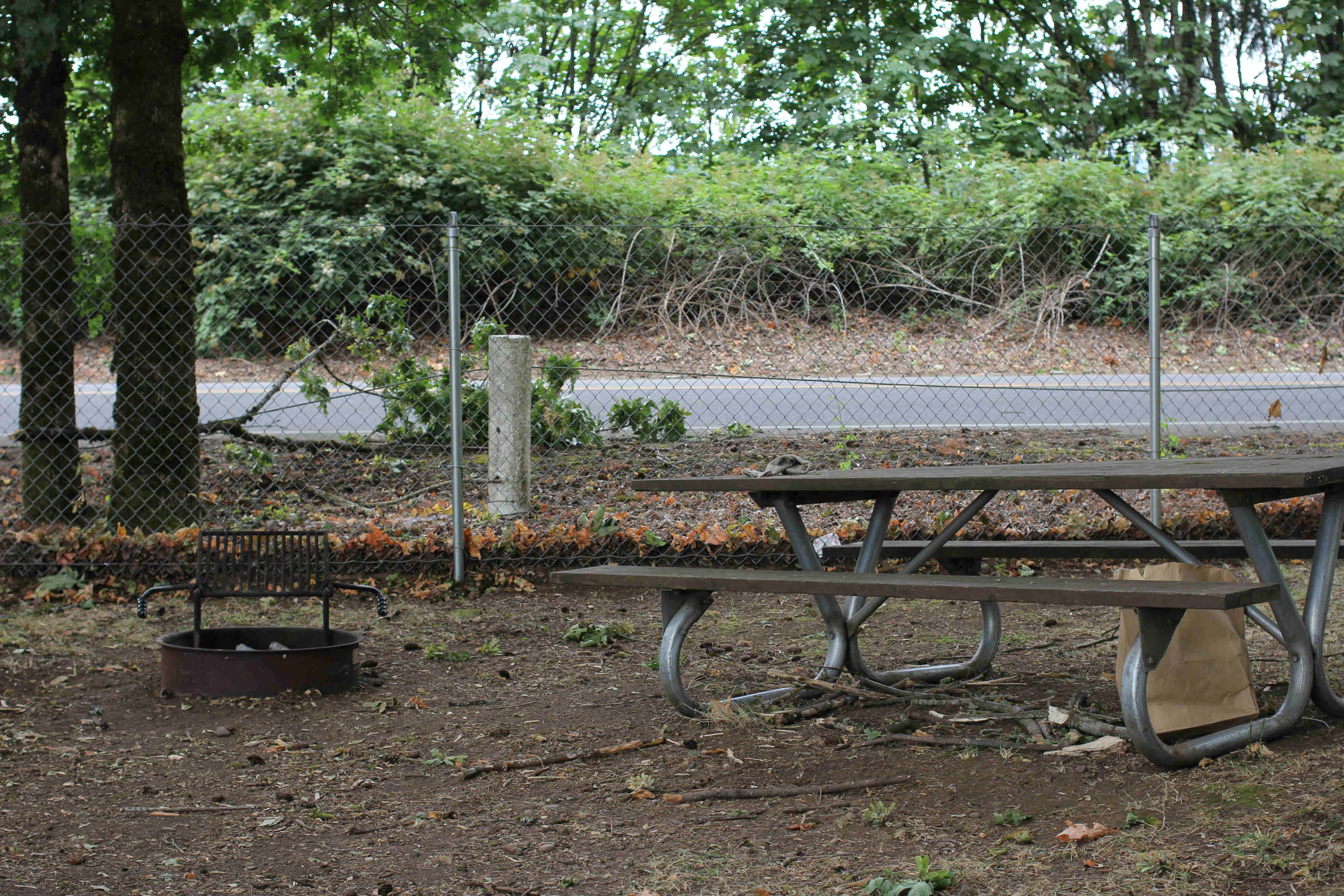 Camper-submitted photo at Scappoose Bay Marine Park near Scappoose, OR