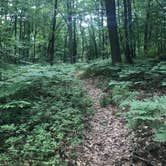 Review photo of Port Crescent State Park Campground by Magy C., August 27, 2018