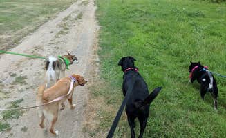 Magy C.'s photo of camping with pets at Allendale-West Grand Rapids KOA near Grand Rapids, MI