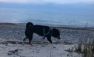 Magy C.'s photo of camping with pets at Fisherman's Island State Park Campground near Petoskey, MI