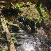 Review photo of Fisherman's Island State Park Campground by Magy C., August 23, 2018