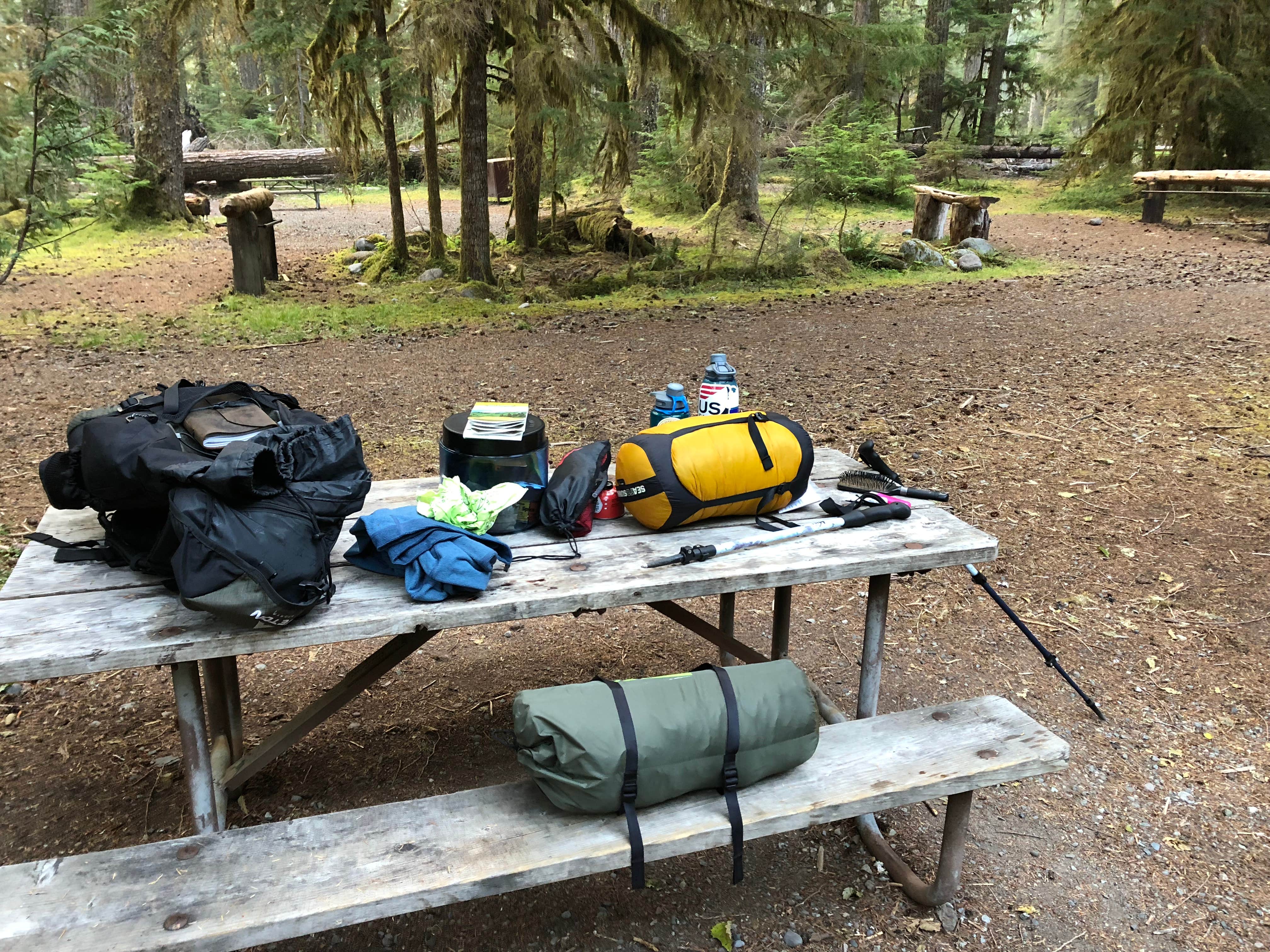 Camper-submitted photo at Ipsut Creek Backcountry Campground — Mount Rainier National Park near Lake Tapps, WA