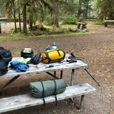 Review photo of Ipsut Creek Backcountry Campground — Mount Rainier National Park by Alex P., August 27, 2018