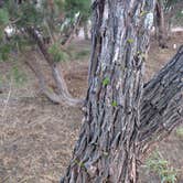 Review photo of Inks Lake State Park Campground by Ryan B., August 1, 2016