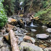 Review photo of Ipsut Creek Backcountry Campground — Mount Rainier National Park by Alex P., August 27, 2018