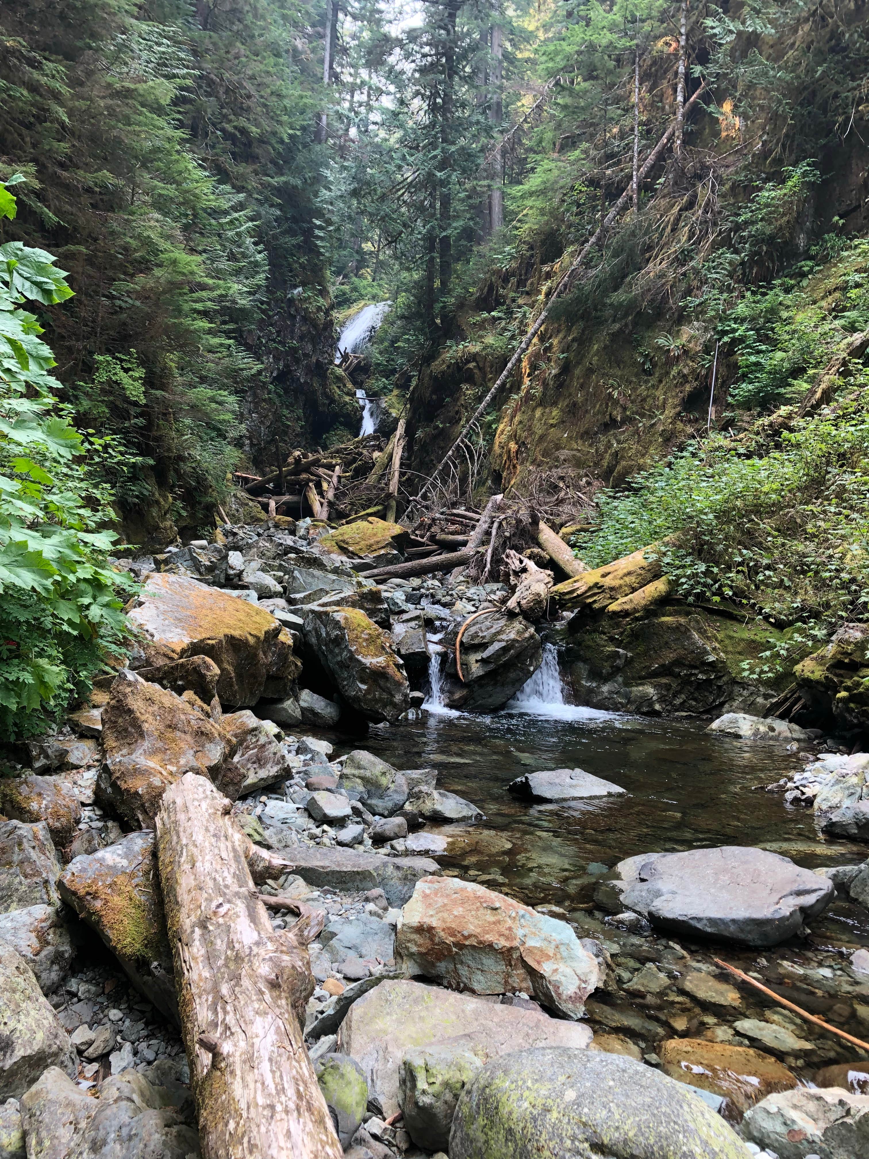 Camper submitted image from Ipsut Creek Backcountry Campground — Mount Rainier National Park - 3