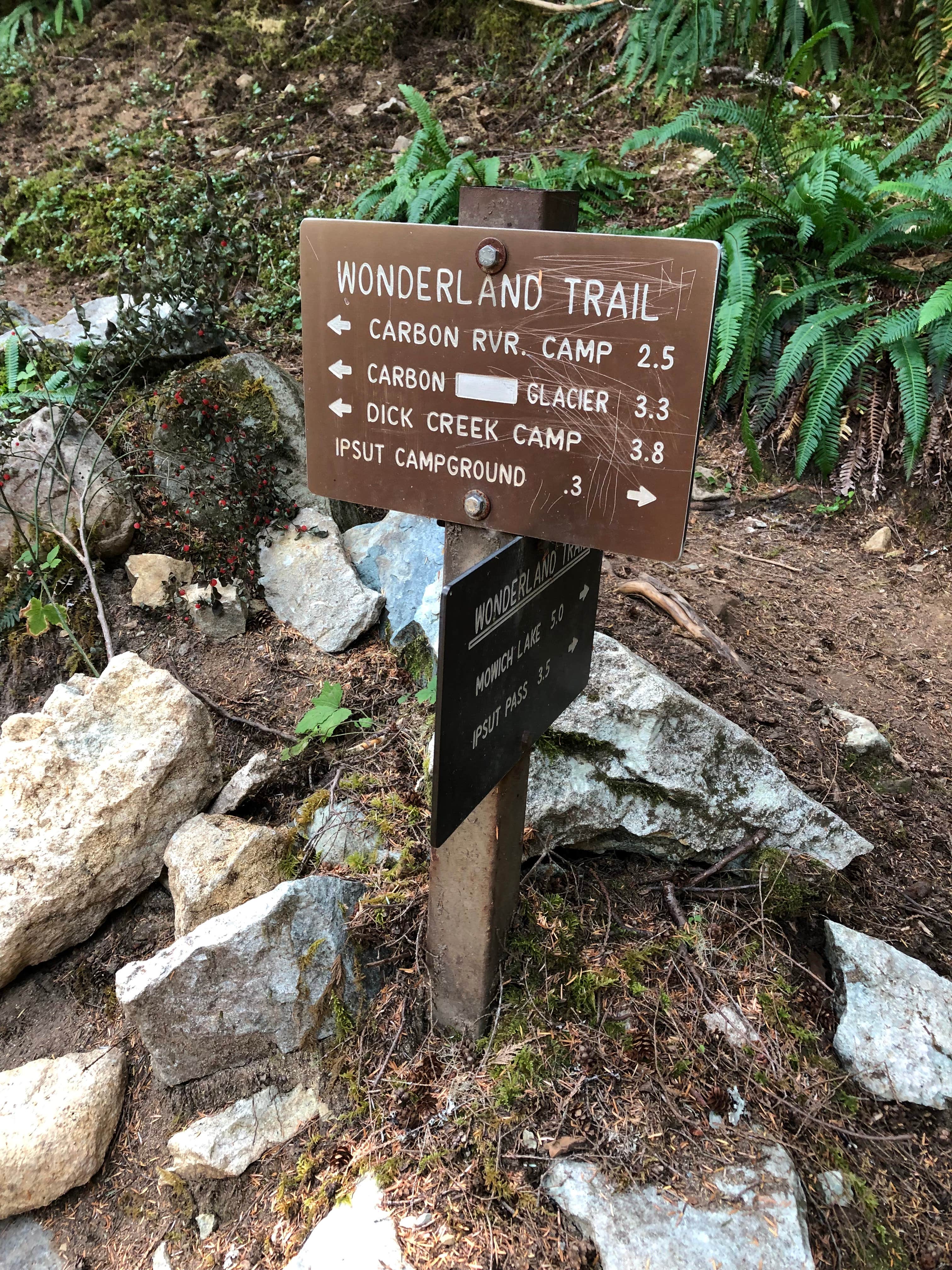 Camper-submitted photo at Ipsut Creek Backcountry Campground — Mount Rainier National Park near Lake Tapps, WA