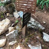 Review photo of Ipsut Creek Backcountry Campground — Mount Rainier National Park by Alex P., August 27, 2018