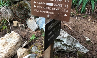 Camping near Fire Creek Camp — Mount Rainier National Park: Ipsut Creek Backcountry Campground — Mount Rainier National Park, Mount Rainier National Park, Washington