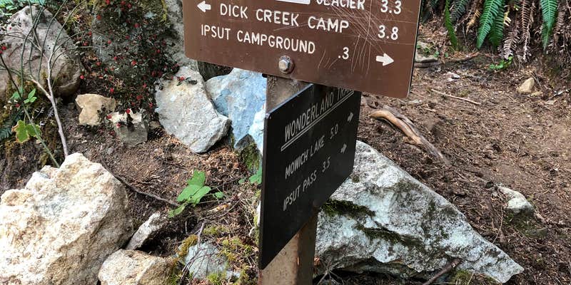 Camper submitted image from Ipsut Creek Backcountry Campground — Mount Rainier National Park