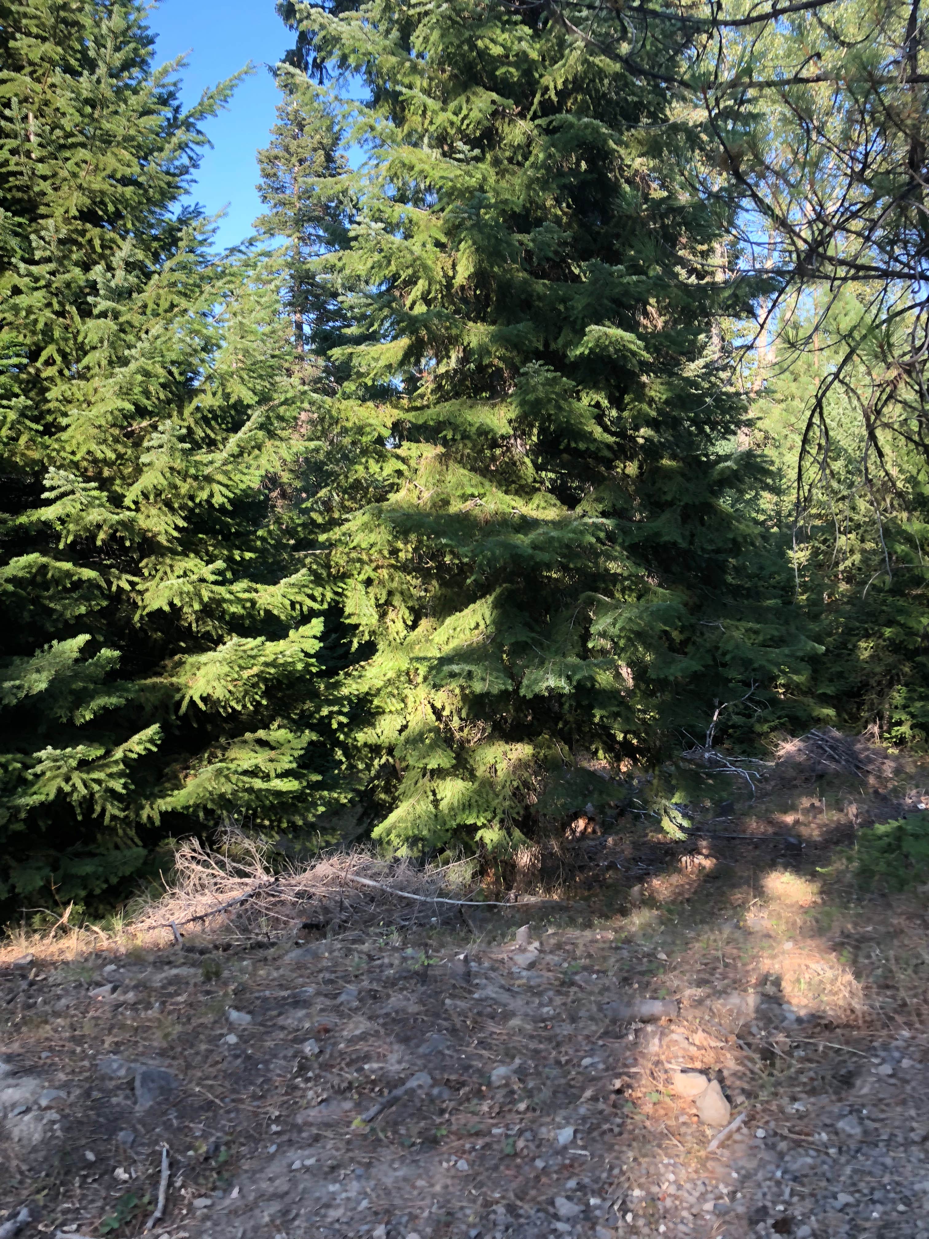 Camper-submitted photo at Kentucky River Campground near Georgetown, KY