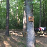 Review photo of Rappahannock River Campground by Derek E., August 27, 2018