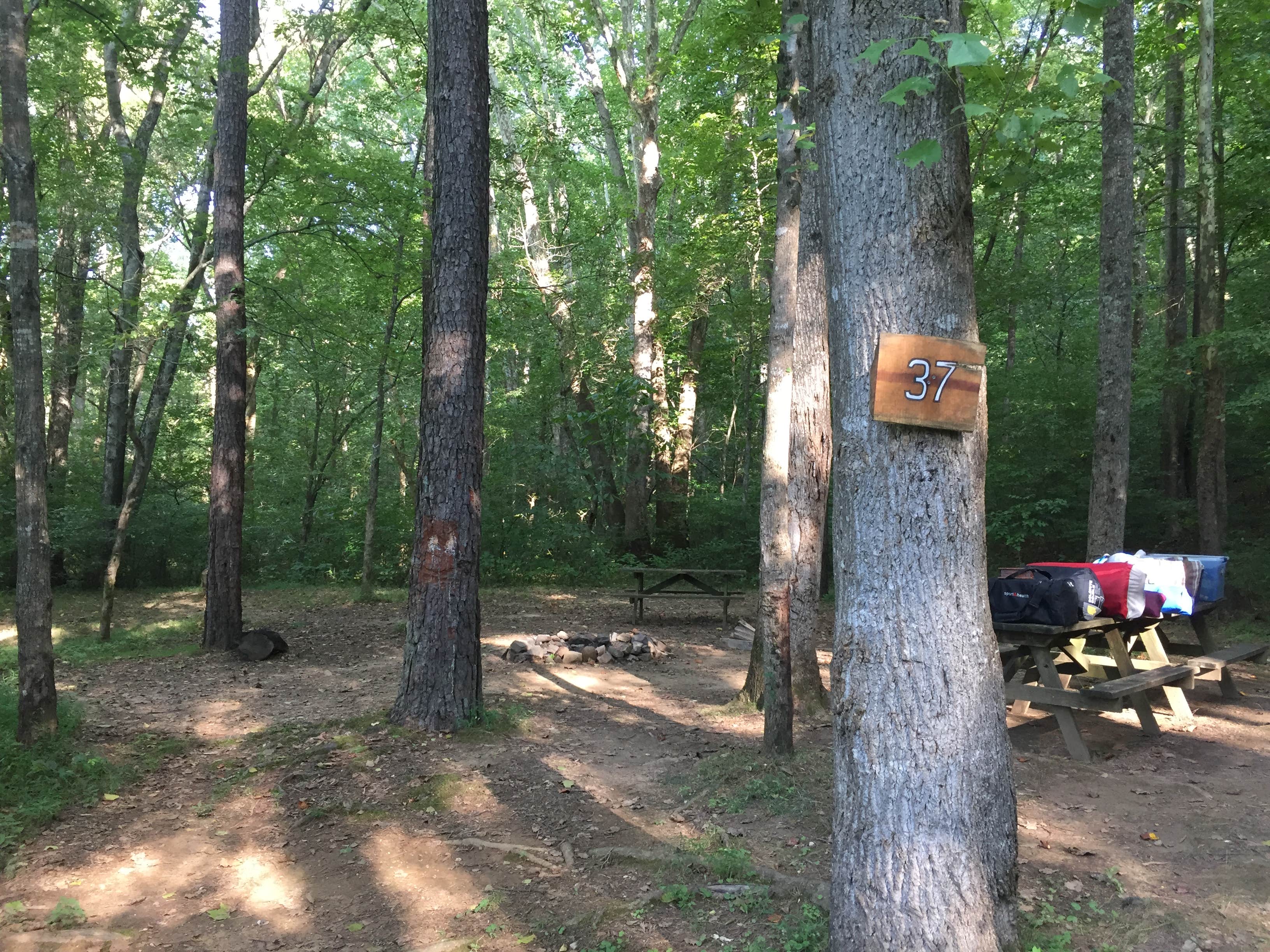 Camper submitted image from Rappahannock River Campground - 2