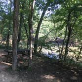 Review photo of Rappahannock River Campground by Derek E., August 27, 2018