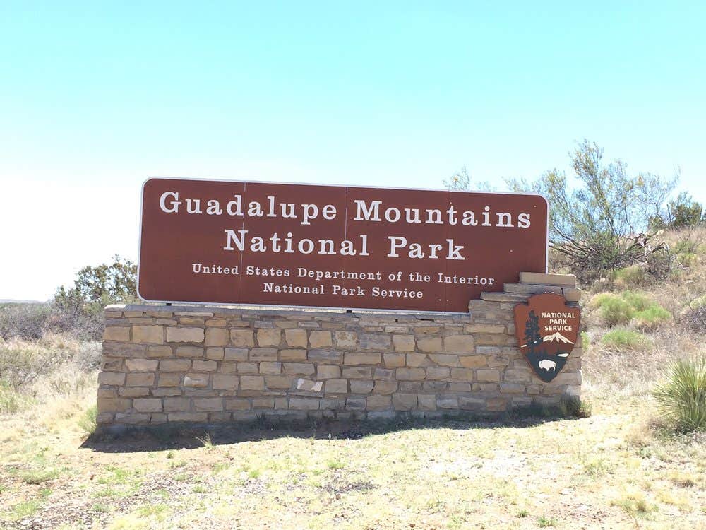 Camper submitted image from Pine Springs Campground - 4