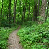 Review photo of Ramp - West Kentucky WMA by Evelyn R., August 27, 2018