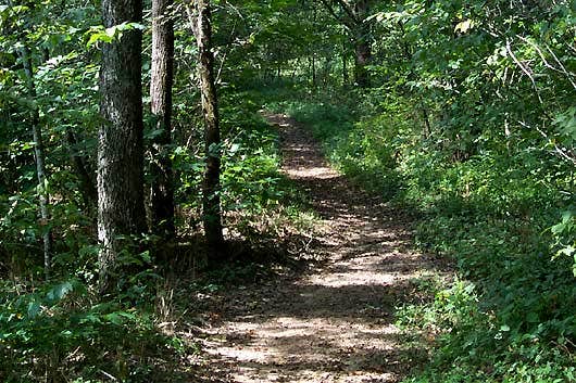 Camper-submitted photo at Ramp - West Kentucky WMA near Metropolis, IL