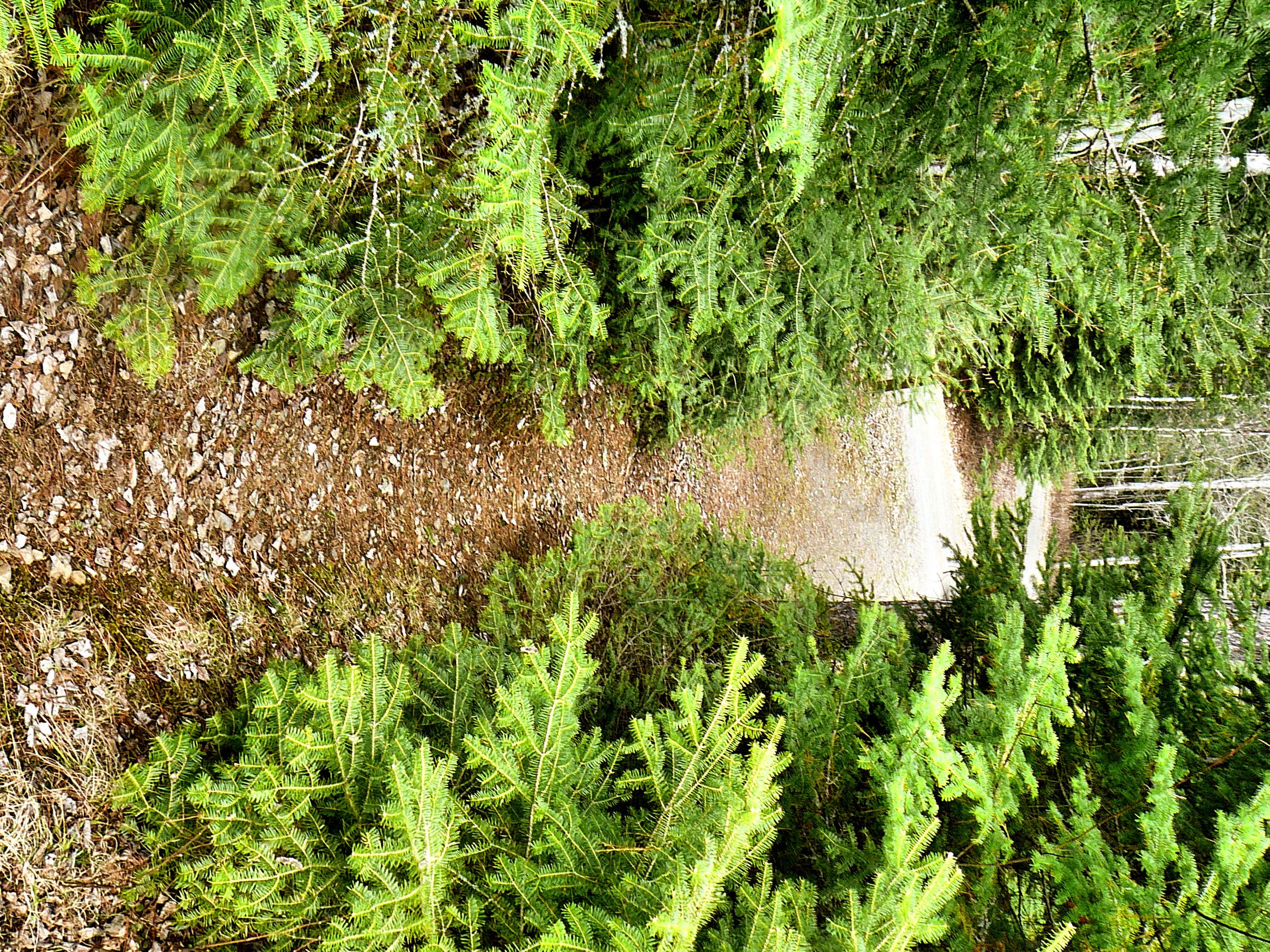 Camper-submitted photo at Ramp - West Kentucky WMA near Metropolis, IL