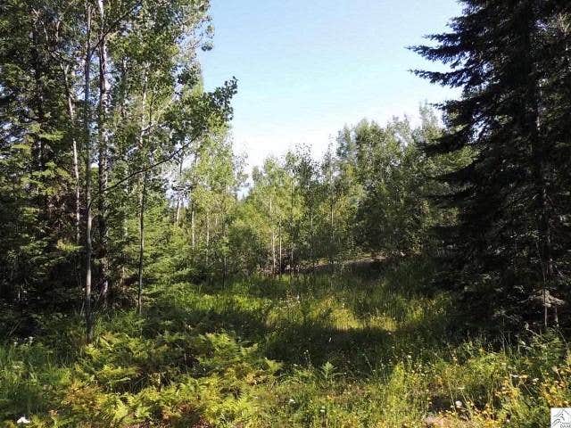 Camper-submitted photo at Tennessee Hills Campground near Fosterville, TN