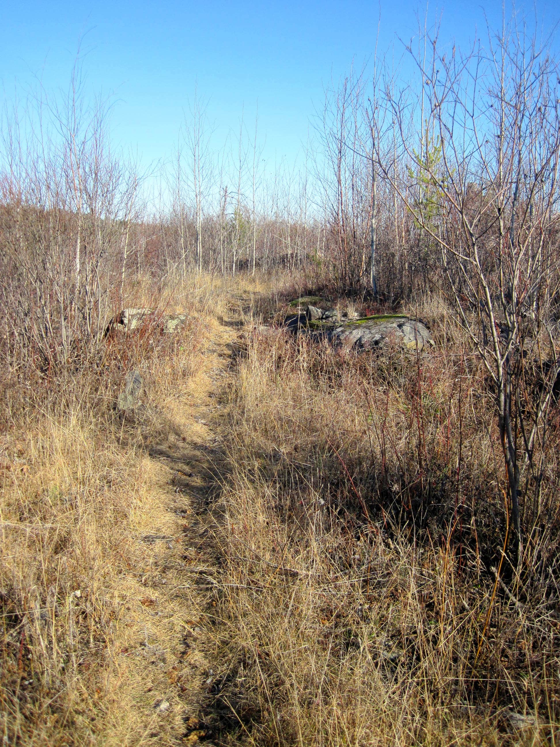 Camper-submitted photo at Tennessee Hills Campground near Fosterville, TN