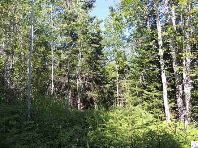 Camper-submitted photo at Tennessee Hills Campground near Fosterville, TN