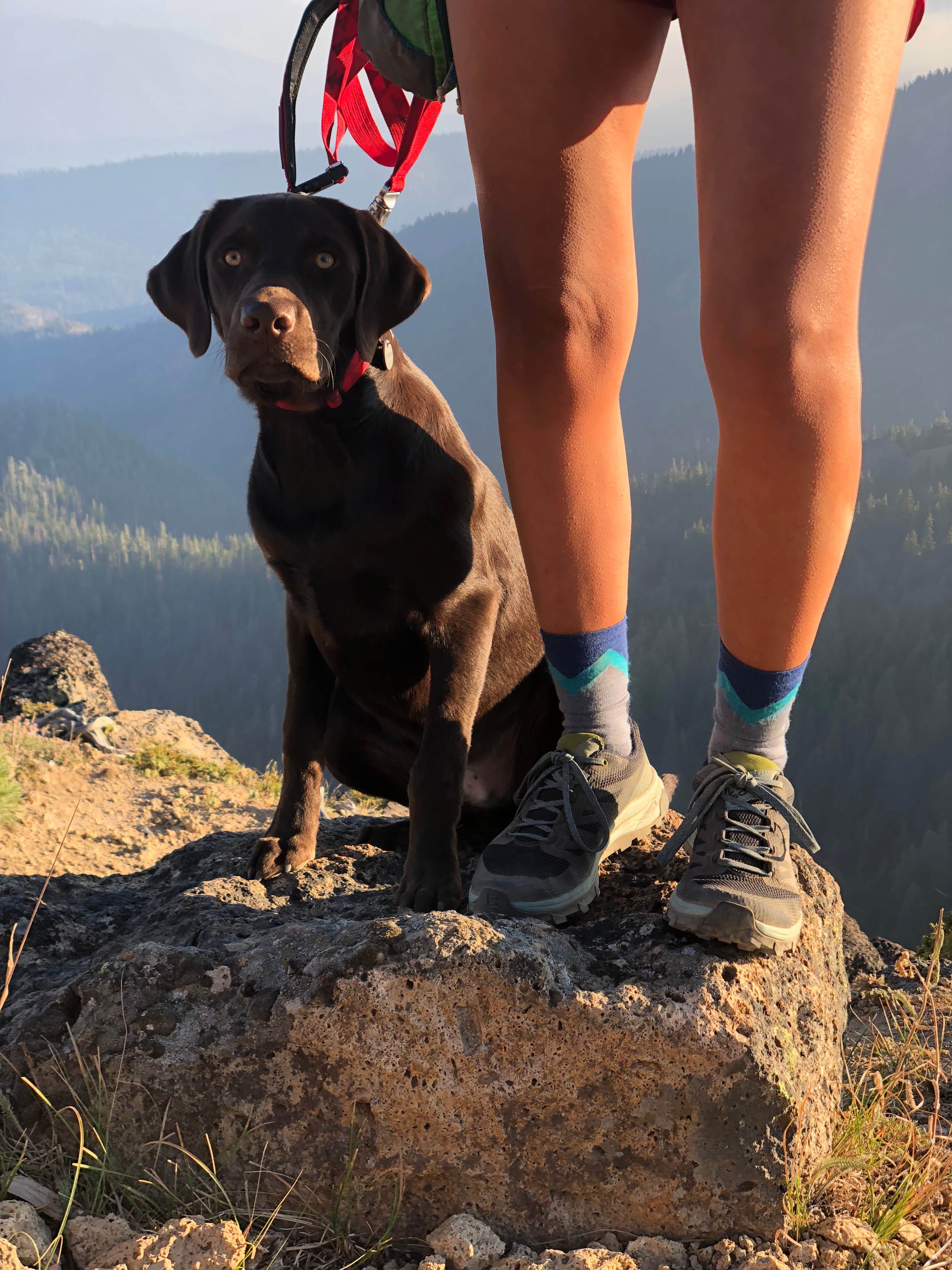 Sasha W.'s photo of camping with pets at Indian Creek (WA) near Yakima, WA
