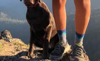 Sasha W.'s photo of camping with pets at Indian Creek (WA) near Yakima, WA
