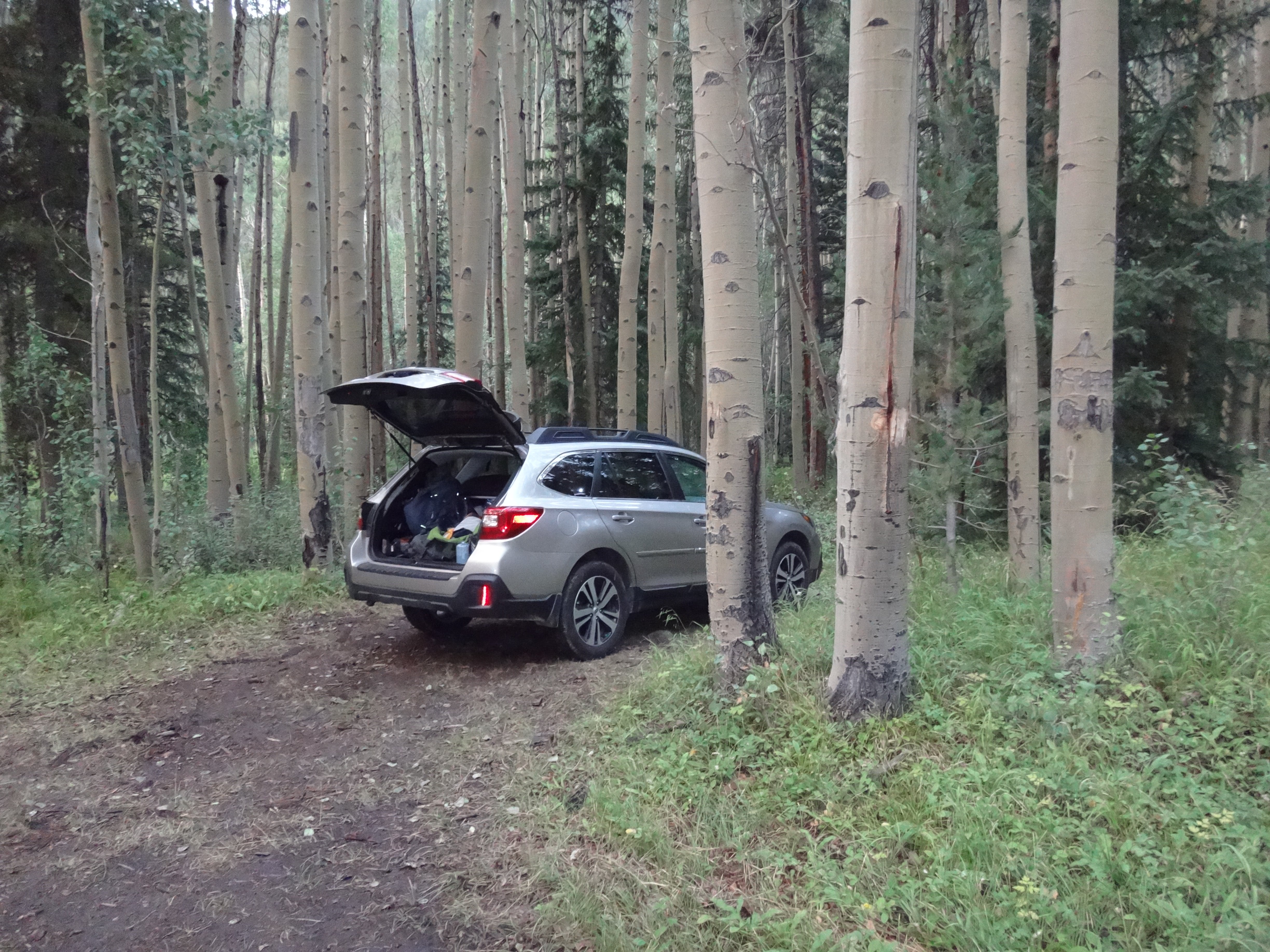 Camper submitted image from North Cottonwood Trailhead Dispersed Camping - 2