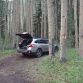 Review photo of North Cottonwood Trailhead Dispersed Camping by Tommie J., August 27, 2018