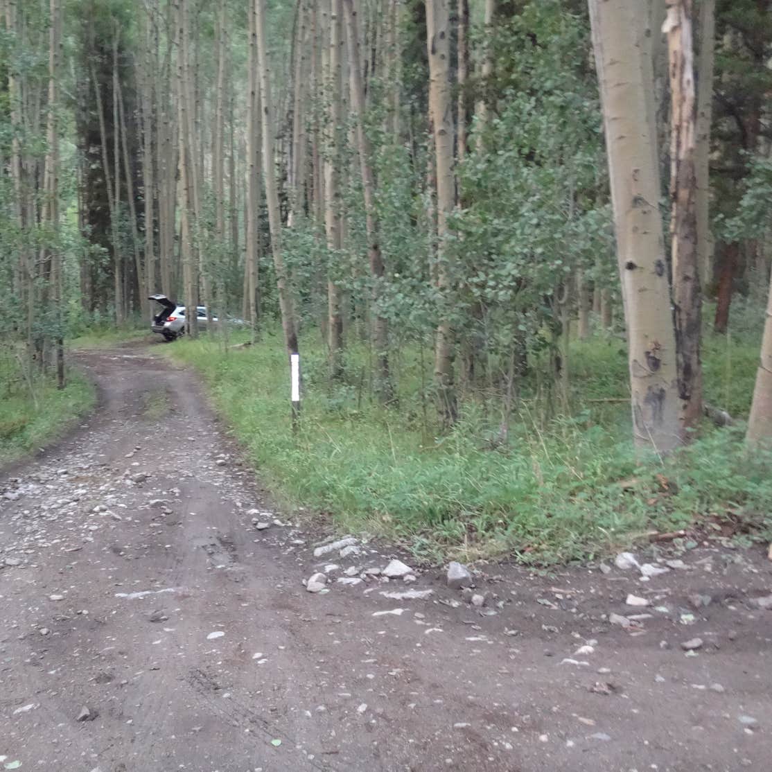 North Cottonwood Trailhead Dispersed Camping Camping The Dyrt