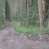 Review photo of North Cottonwood Trailhead Dispersed Camping by Tommie J., August 27, 2018