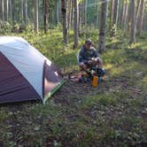 Review photo of North Cottonwood Trailhead Dispersed Camping by Tommie J., August 27, 2018