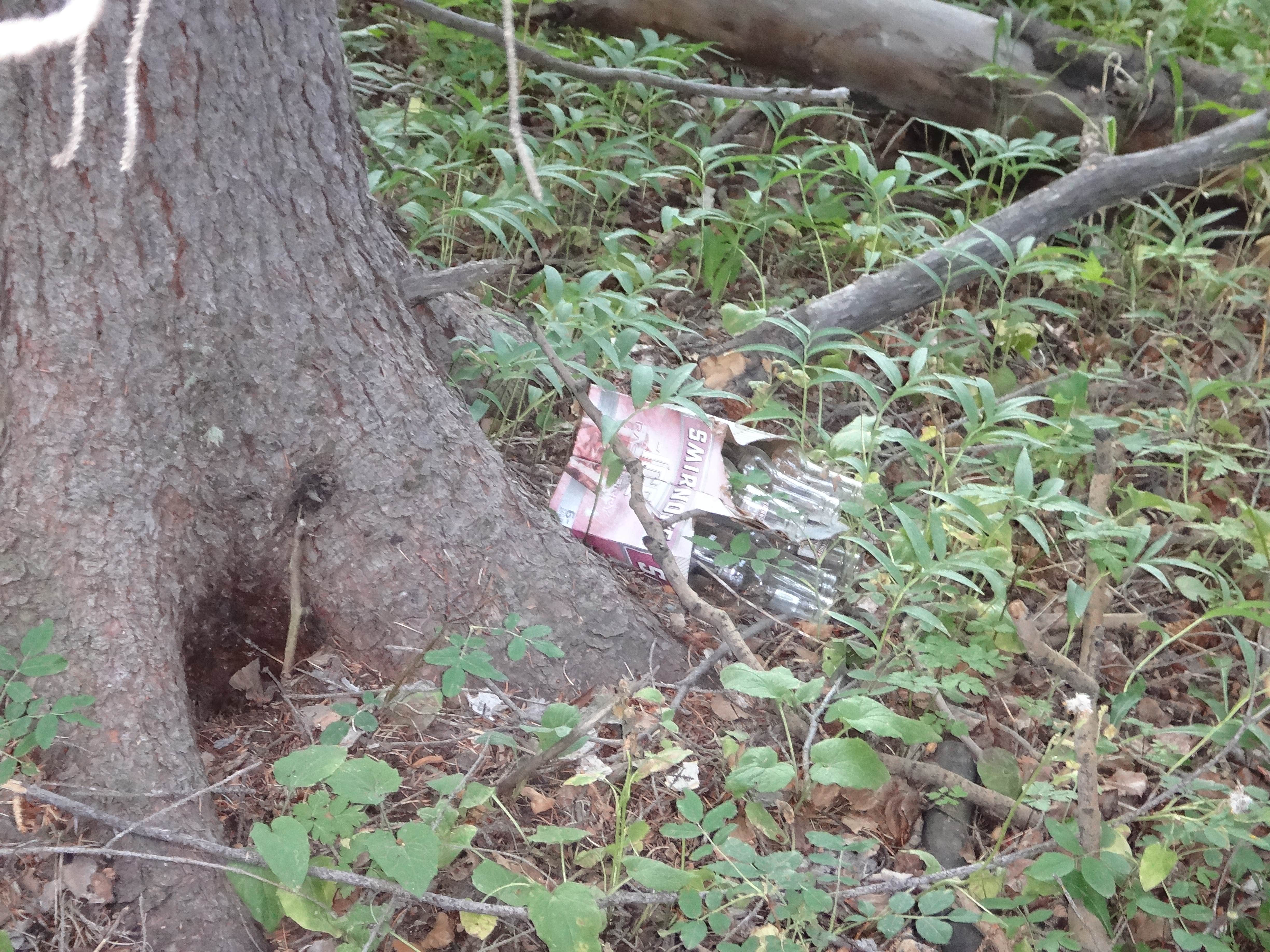 Camper-submitted photo at North Cottonwood Trailhead Dispersed Camping near Granite, CO