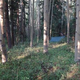 Review photo of North Cottonwood Trailhead Dispersed Camping by Tommie J., August 27, 2018