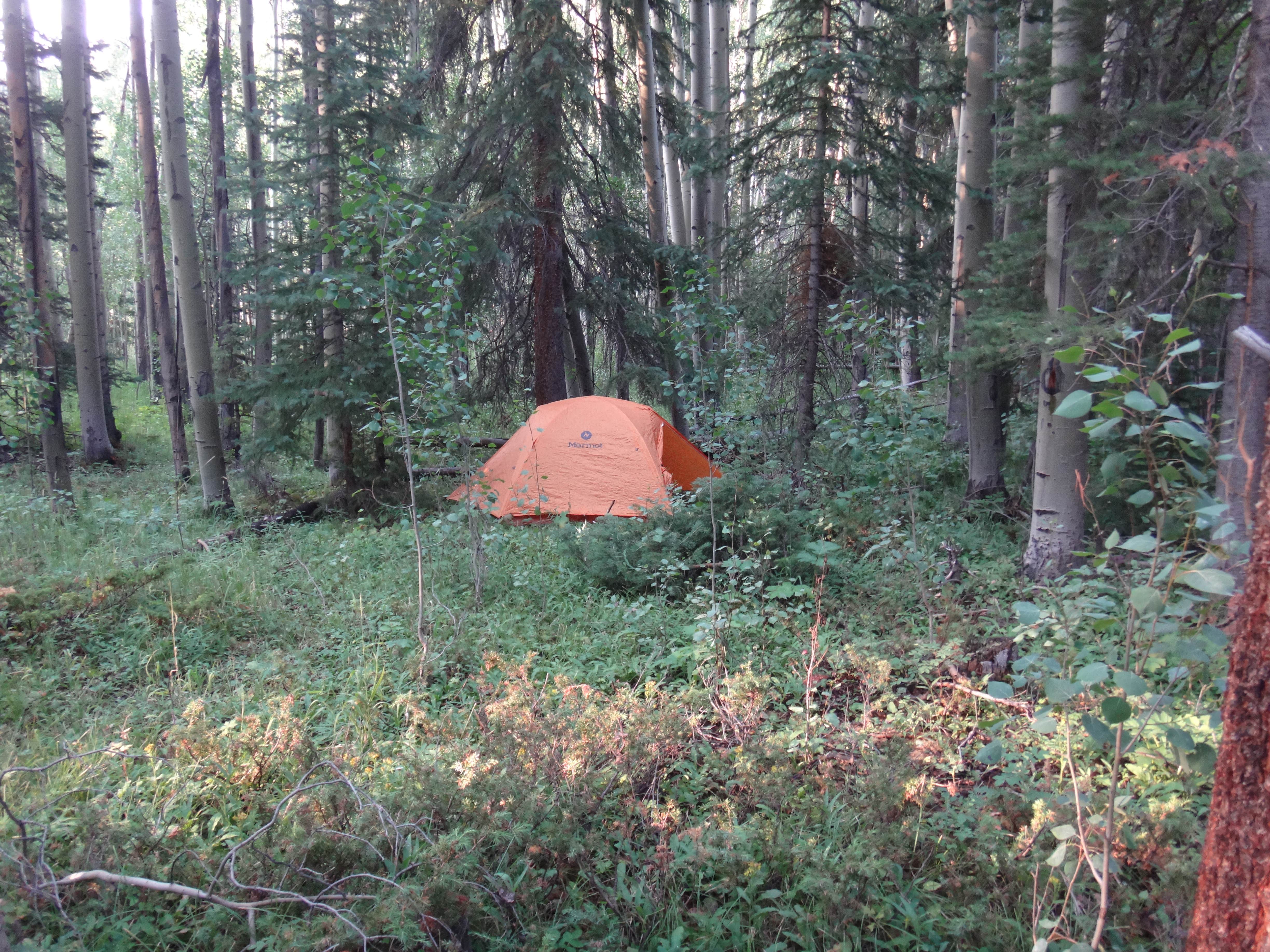 Tommie J.'s photo of tent camping at North Cottonwood Trailhead Dispersed Camping near Salida, CO