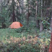 Review photo of North Cottonwood Trailhead Dispersed Camping by Tommie J., August 27, 2018