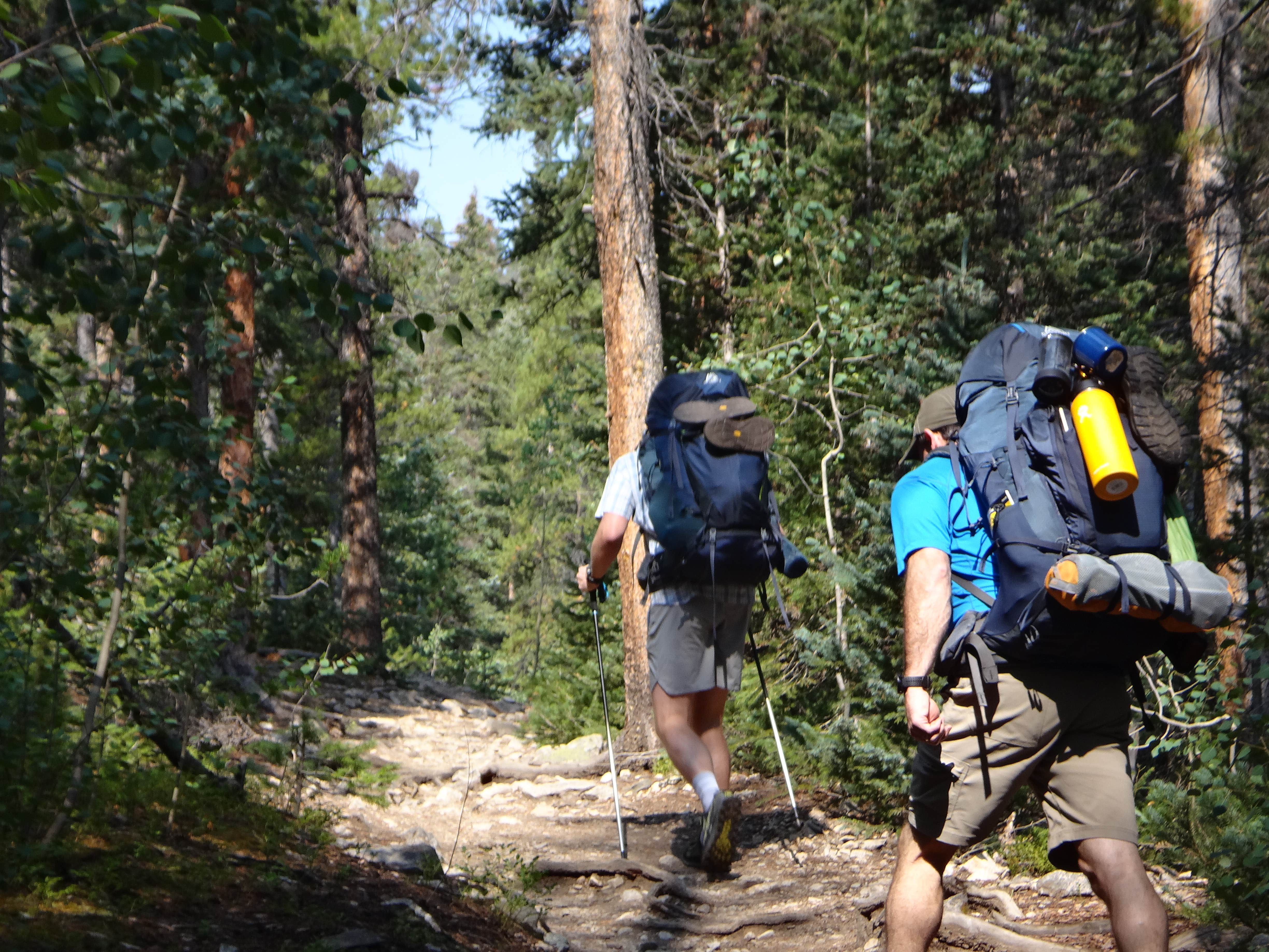 Camper submitted image from North Cottonwood Trailhead Dispersed Camping - 3