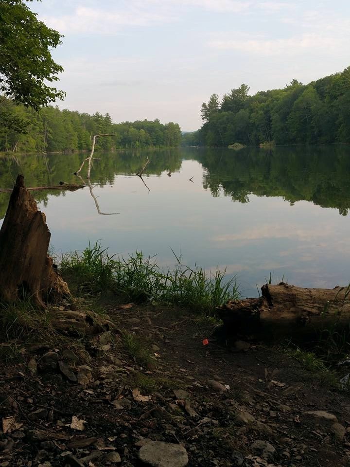 Camper submitted image from Chenango Valley State Park - 2