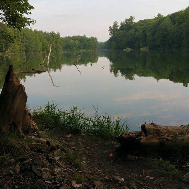Chenango Valley State Park Camping The Dyrt