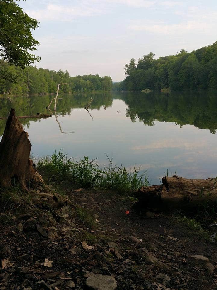 Camper submitted image from Chenango Valley State Park Campground - 2