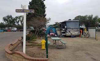 Colette K.'s photo at Campland on the Bay near Santee, CA