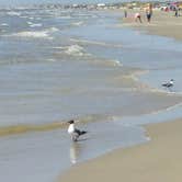 Review photo of Mustang Island State Park Campground by Jenna W., August 1, 2016