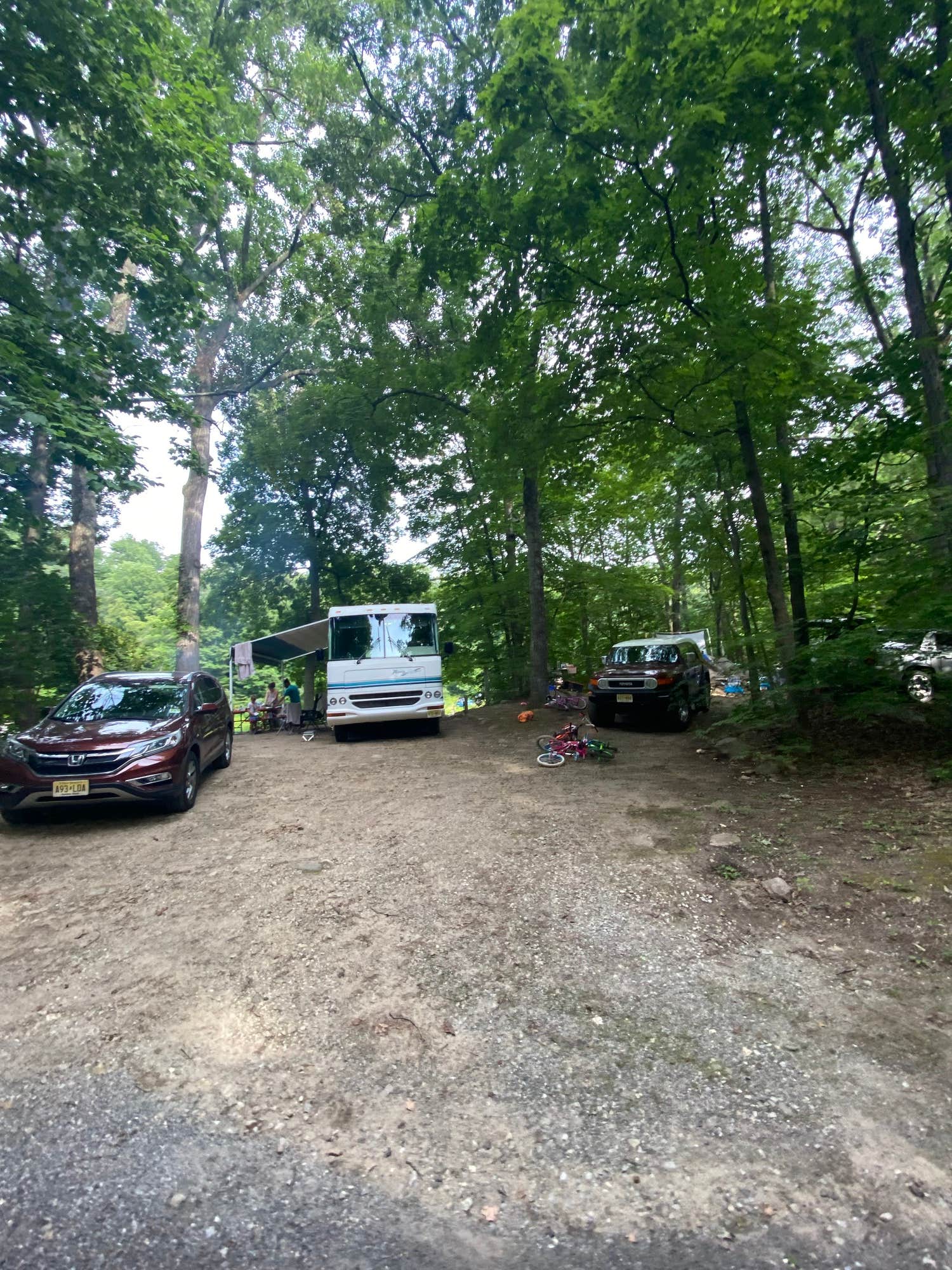 Camper submitted image from Woodland Trails - 1