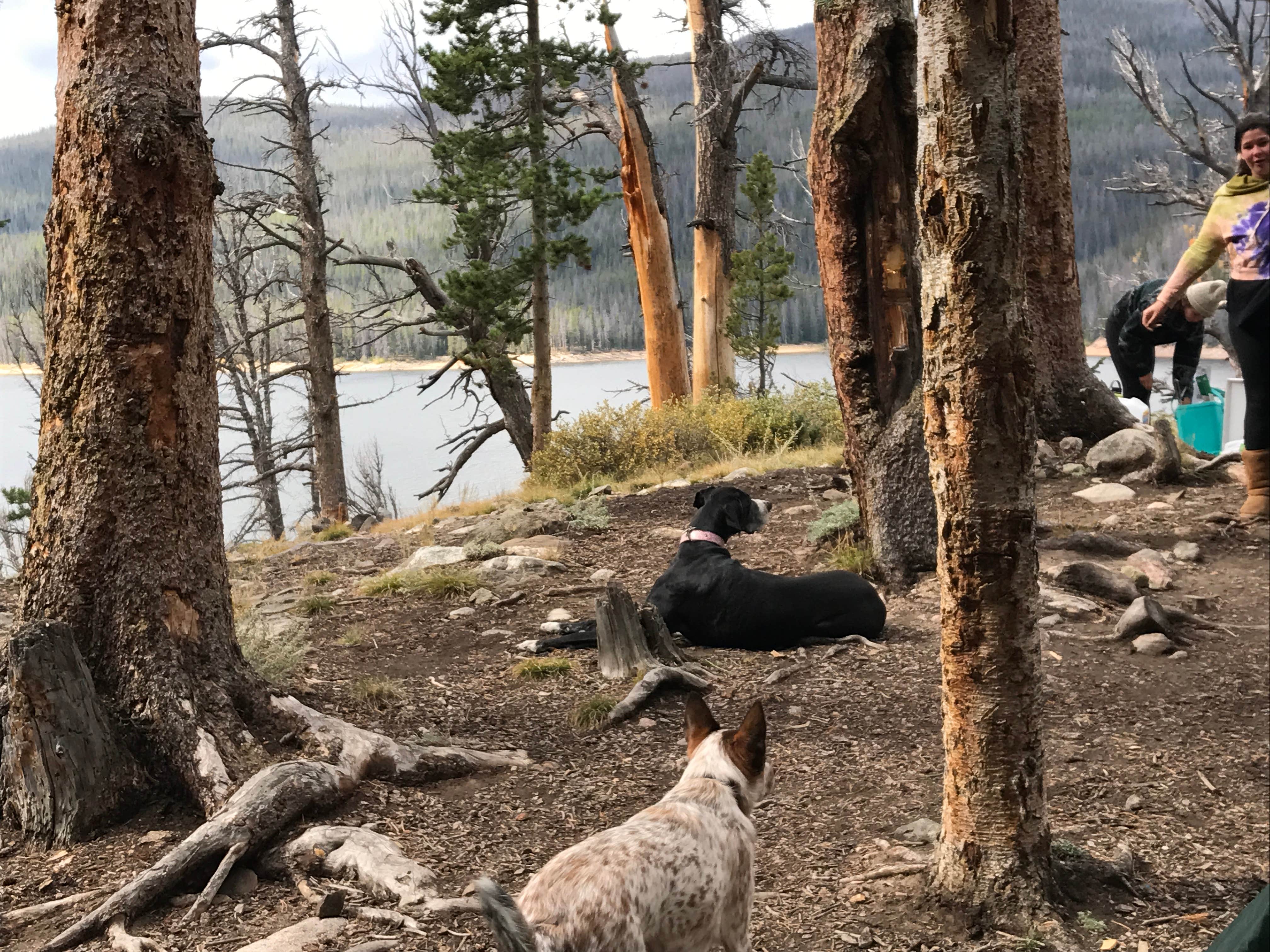 Camper-submitted photo at Chambers Lake Campground near Gould, CO