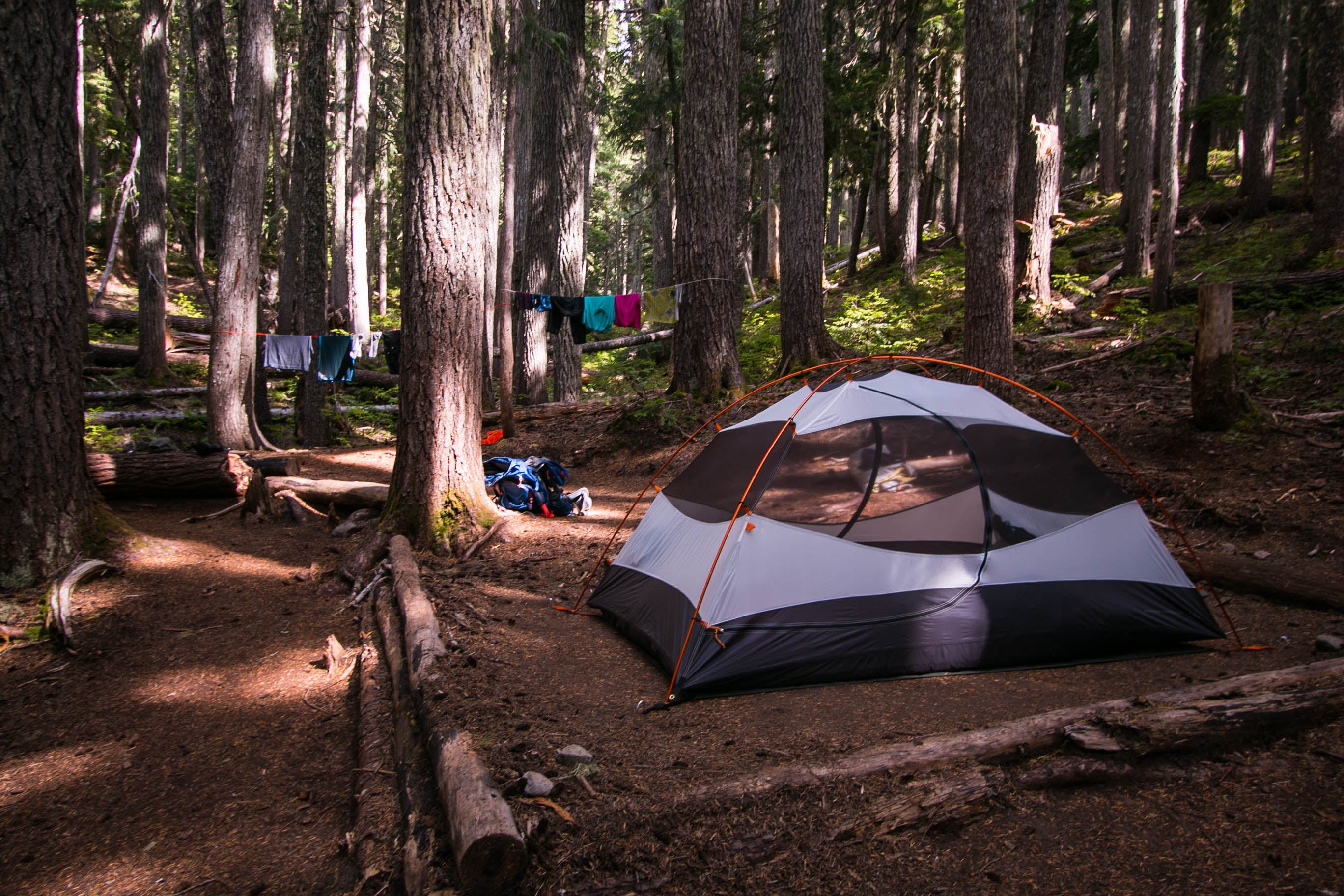 Camper submitted image from Fire Creek Camp — Mount Rainier National Park - 3