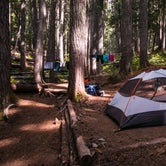 Review photo of Fire Creek Camp — Mount Rainier National Park by Danielle S., August 27, 2018