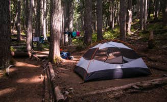 Danielle S.'s photo at Fire Creek Camp — Mount Rainier National Park near Mount Rainier National Park