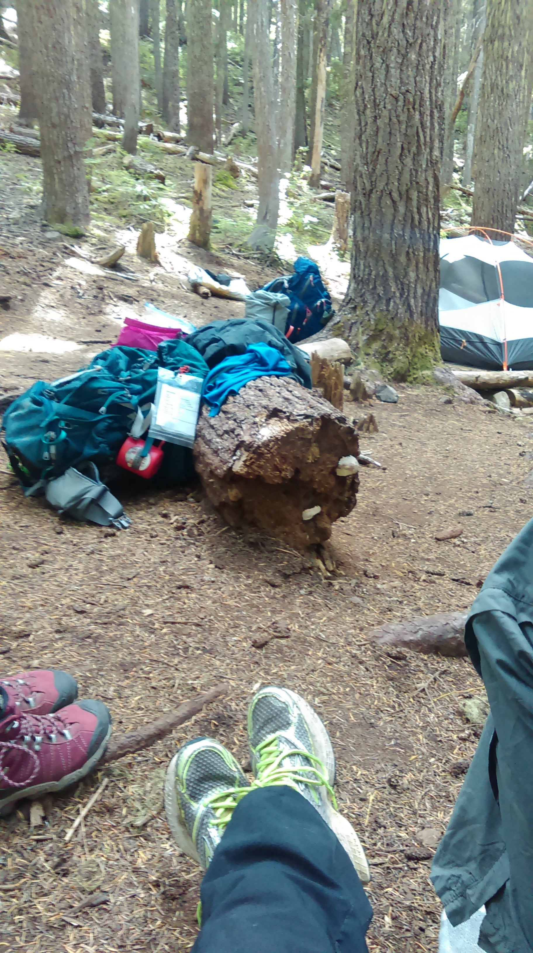 Camper submitted image from Fire Creek Camp — Mount Rainier National Park - 2